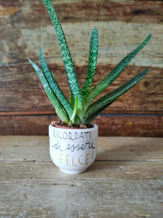 Vasetto "Ricordati di essere FELCE!" color Sabbia